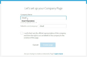 LinkedIn-Company-Page-03-Setup-Page